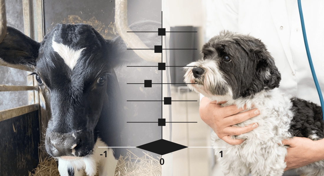 IVEG frontpage illustration